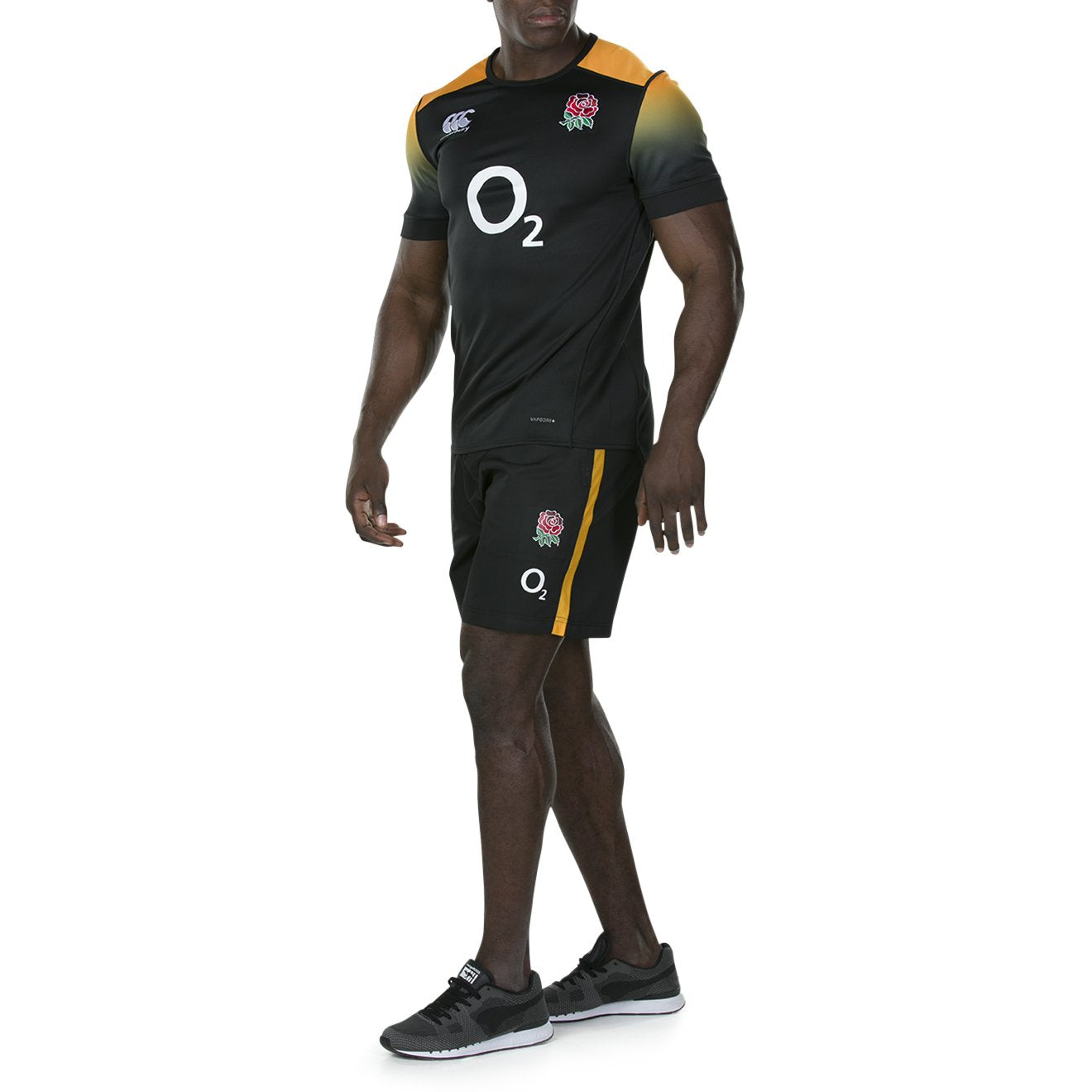 Canterbury England Rugby Training Pro Vapodri Jersey - Tap Shoe/Zinnia